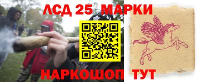 метадон Новозыбков