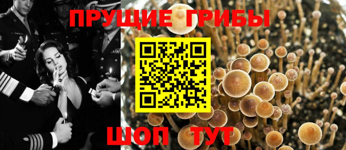 Псилоцибиновые грибы Magic Shrooms Уварово